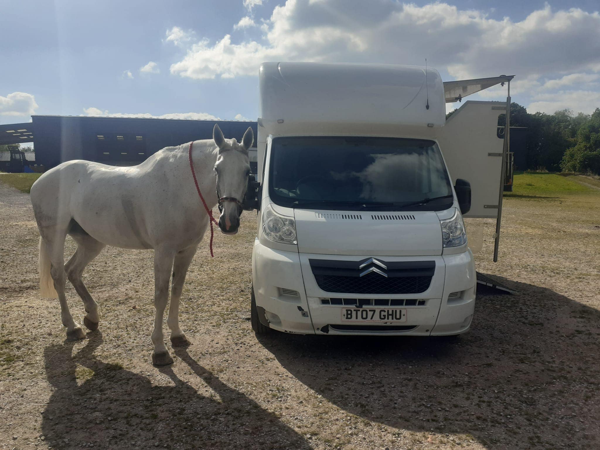 Horsebox hire A2B Horsebox Hereford